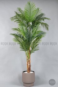 https://cdn.dsmcdn.com/sfweb-pdp/images/product-placeholder-v2.jpeg