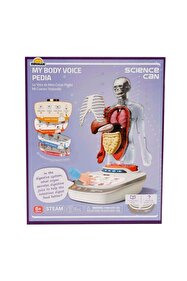 Sunman Sesli İnsan Vücudu Modeli Bilim Seti - Fiyatı, Yorumları