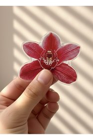 https://cdn.dsmcdn.com/sfweb-pdp/images/product-placeholder-v2.jpeg