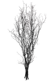 https://cdn.dsmcdn.com/sfweb-pdp/images/product-placeholder-v2.jpeg