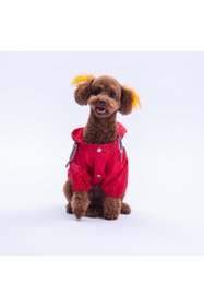 https://cdn.dsmcdn.com/sfweb-pdp/images/product-placeholder-v2.jpeg