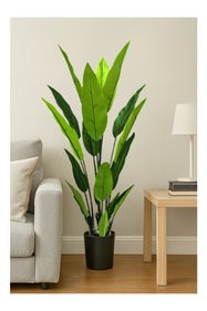 https://cdn.dsmcdn.com/sfweb-pdp/images/product-placeholder-v2.jpeg