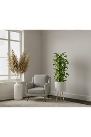 https://cdn.dsmcdn.com/sfweb-pdp/images/product-placeholder-v2.jpeg