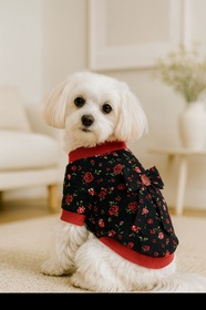 https://cdn.dsmcdn.com/sfweb-pdp/images/product-placeholder-v2.jpeg