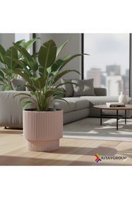 https://cdn.dsmcdn.com/sfweb-pdp/images/product-placeholder-v2.jpeg