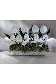 https://cdn.dsmcdn.com/sfweb-pdp/images/product-placeholder-v2.jpeg
