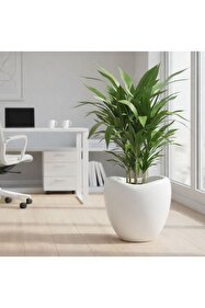 CANBOTANİK Lale Saksı Beyaz 52 Litre Modern Tasarım Büyük Boy İç