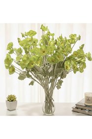 https://cdn.dsmcdn.com/sfweb-pdp/images/product-placeholder-v2.jpeg