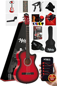 Maxword DG-34RD-50AMP Kelly Kasa Floyde Rose 2x Zebra HH Manyetik