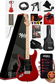 Maxword DG-34RD-50AMP Kelly Kasa Floyde Rose 2x Zebra HH Manyetik