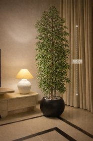 https://cdn.dsmcdn.com/sfweb-pdp/images/product-placeholder-v2.jpeg