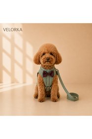 https://cdn.dsmcdn.com/sfweb-pdp/images/product-placeholder-v2.jpeg