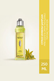 L'Occitane Citrus Verbena Nemlendirici Vücut Losyonu, Mine Çiçeği