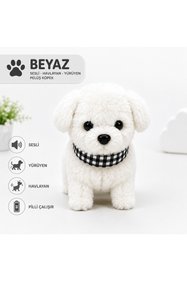 https://cdn.dsmcdn.com/sfweb-pdp/images/product-placeholder-v2.jpeg
