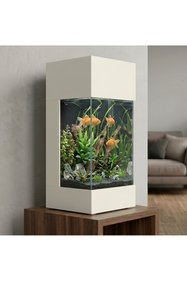 https://cdn.dsmcdn.com/sfweb-pdp/images/product-placeholder-v2.jpeg