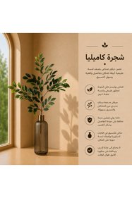 https://cdn.dsmcdn.com/sfweb-pdp/images/product-placeholder-v2.jpeg