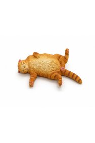 https://cdn.dsmcdn.com/sfweb-pdp/images/product-placeholder-v2.jpeg