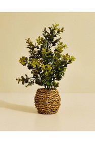 https://cdn.dsmcdn.com/sfweb-pdp/images/product-placeholder-v2.jpeg