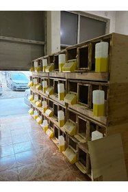 https://cdn.dsmcdn.com/sfweb-pdp/images/product-placeholder-v2.jpeg