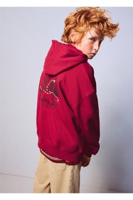 https://cdn.dsmcdn.com/sfweb-pdp/images/product-placeholder-v2.jpeg
