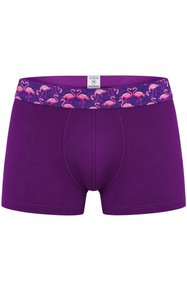 https://cdn.dsmcdn.com/sfweb-pdp/images/product-placeholder-v2.jpeg