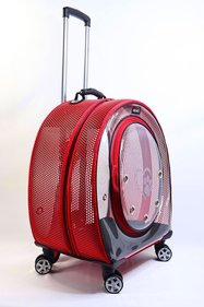 https://cdn.dsmcdn.com/sfweb-pdp/images/product-placeholder-v2.jpeg