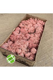 https://cdn.dsmcdn.com/sfweb-pdp/images/product-placeholder-v2.jpeg