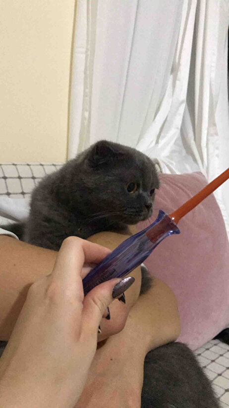 Müşteri fotoğrafı