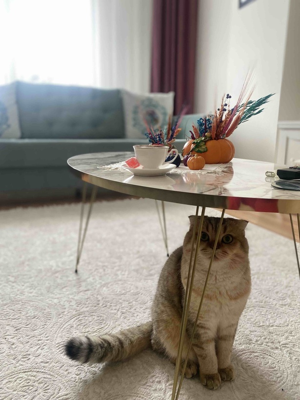 Müşteri fotoğrafı