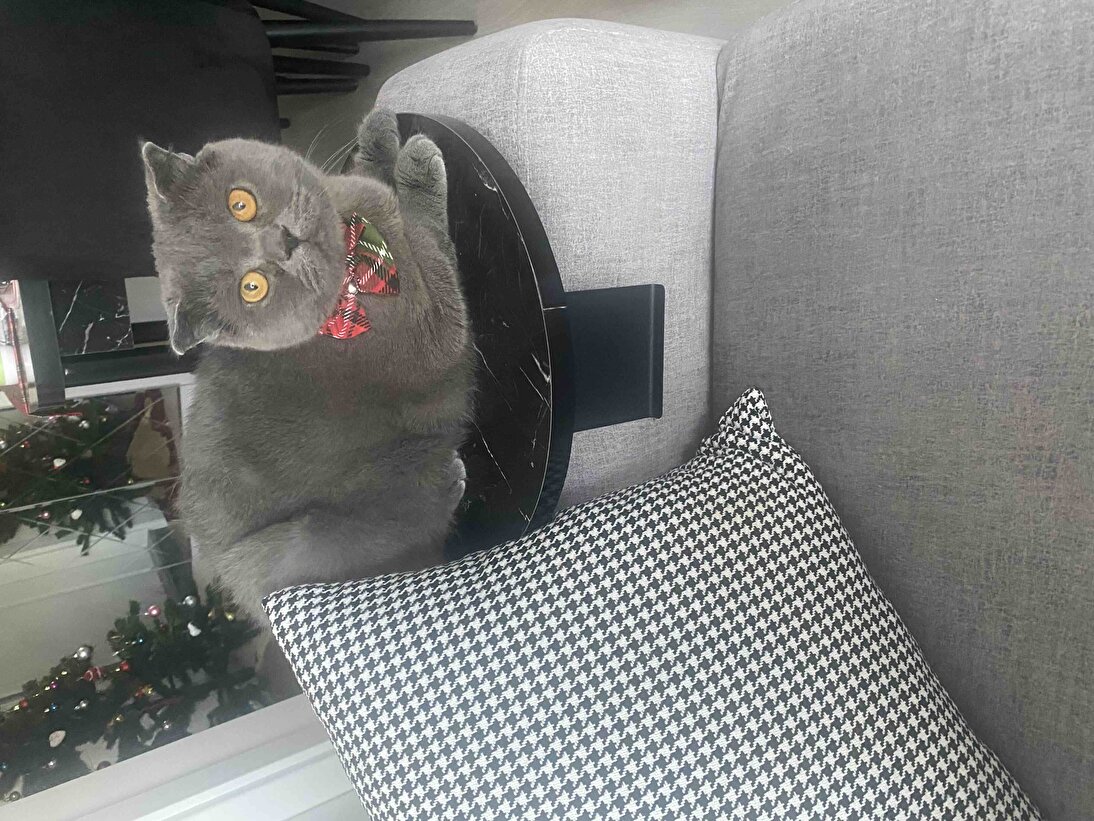Müşteri fotoğrafı