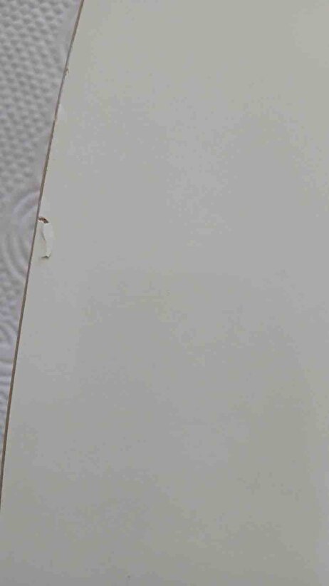 Müşteri fotoğrafı