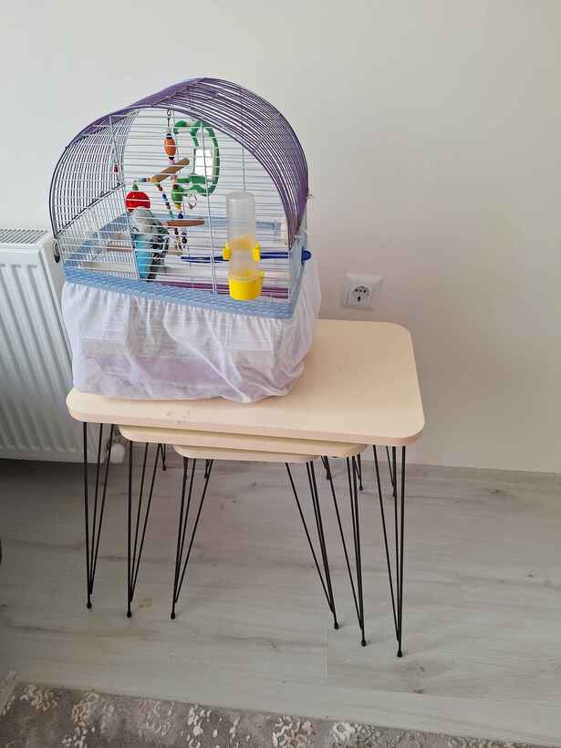 Müşteri fotoğrafı