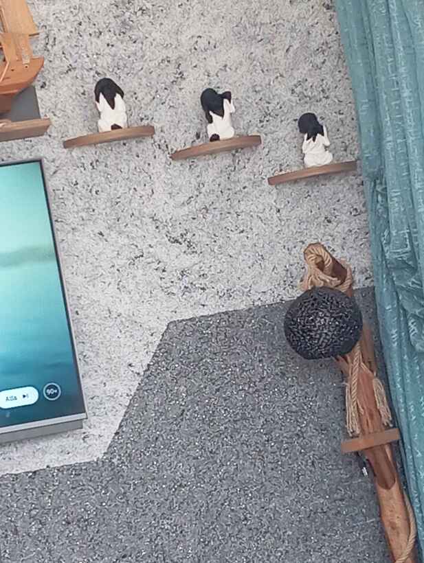 Müşteri fotoğrafı