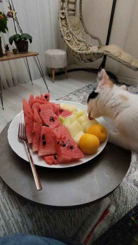 Müşteri fotoğrafı