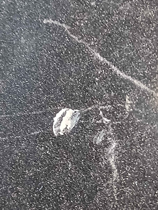 Müşteri fotoğrafı