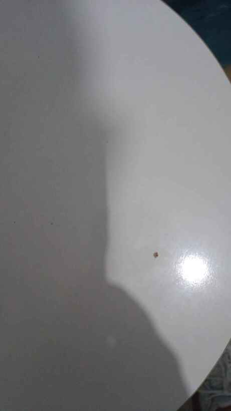 Müşteri fotoğrafı