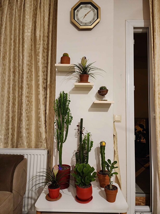 Müşteri fotoğrafı