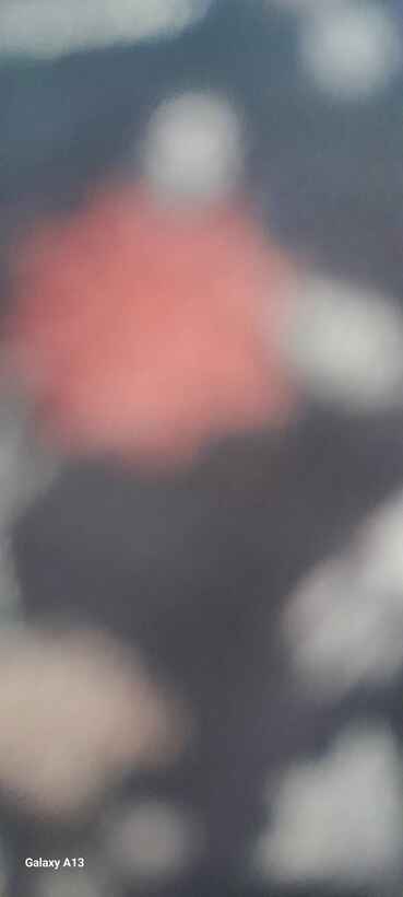 Müşteri fotoğrafı