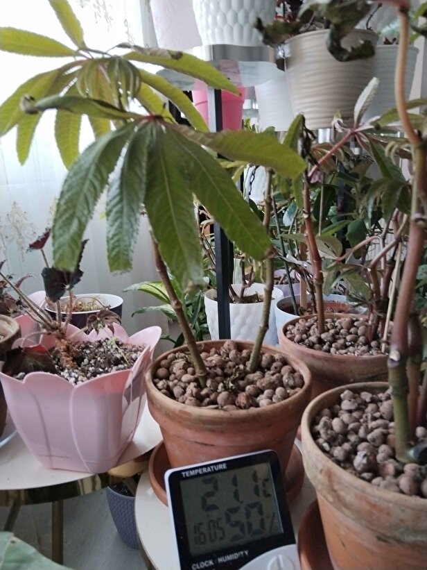 Müşteri fotoğrafı