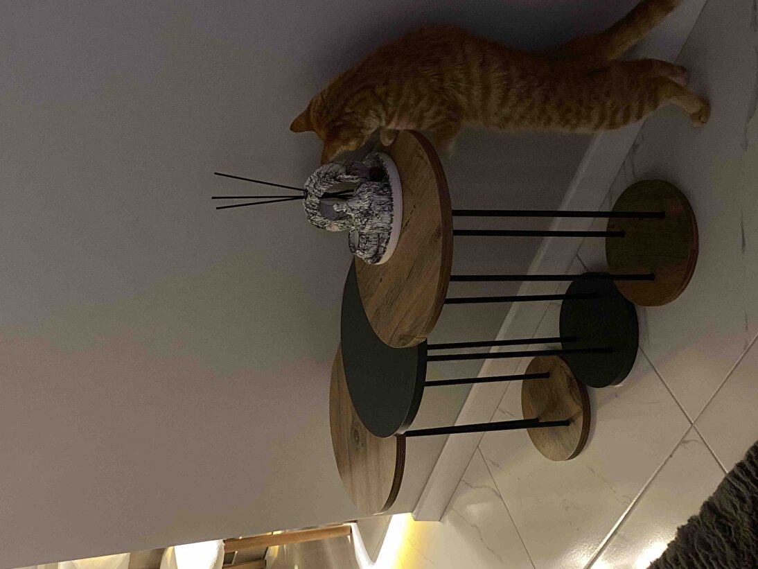 Müşteri fotoğrafı