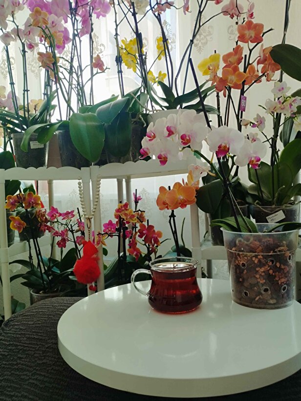 Müşteri fotoğrafı