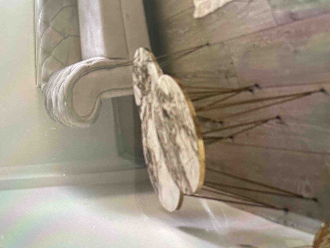 Müşteri fotoğrafı