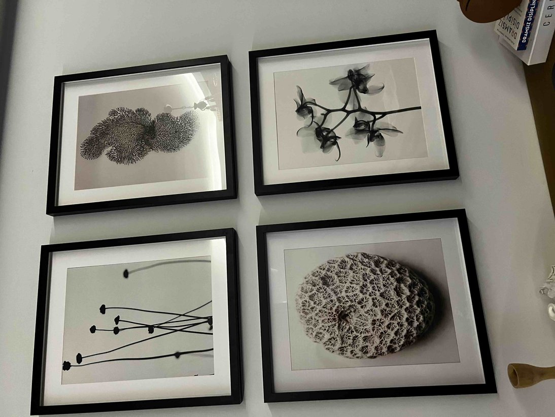 Müşteri fotoğrafı