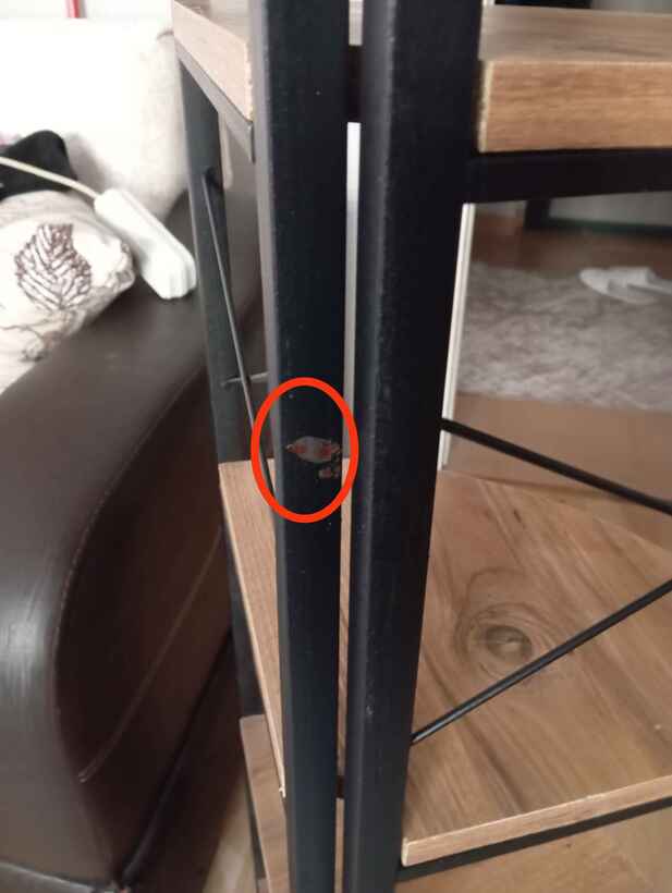 Müşteri fotoğrafı