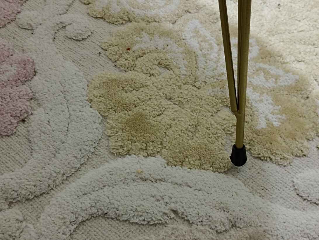 Müşteri fotoğrafı