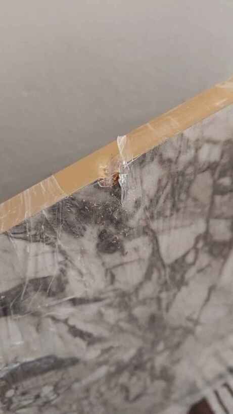 Müşteri fotoğrafı