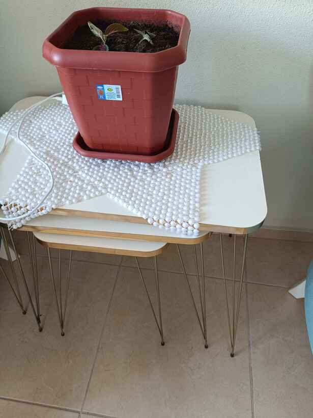 Müşteri fotoğrafı