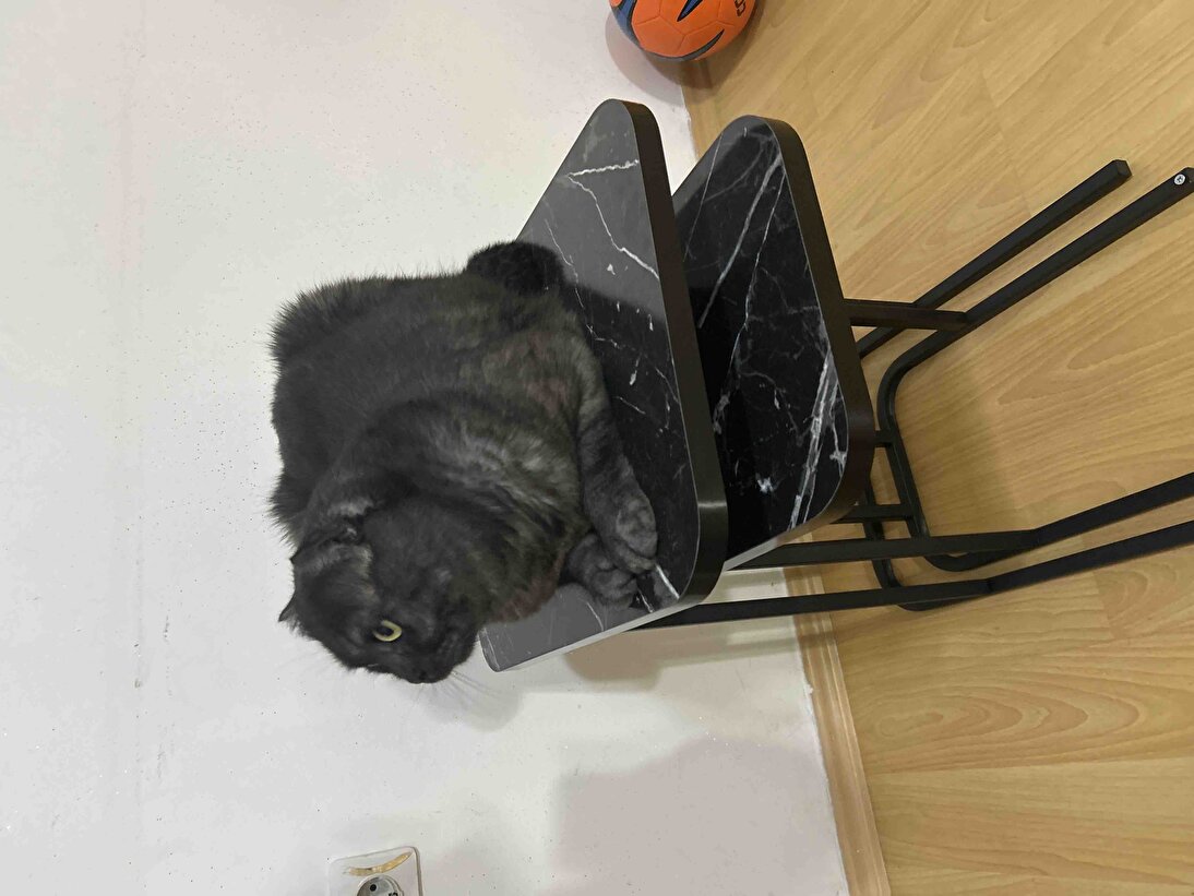 Müşteri fotoğrafı