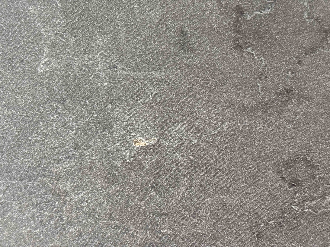 Müşteri fotoğrafı