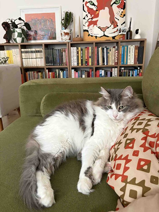 Müşteri fotoğrafı